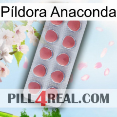 Píldora Anaconda 18